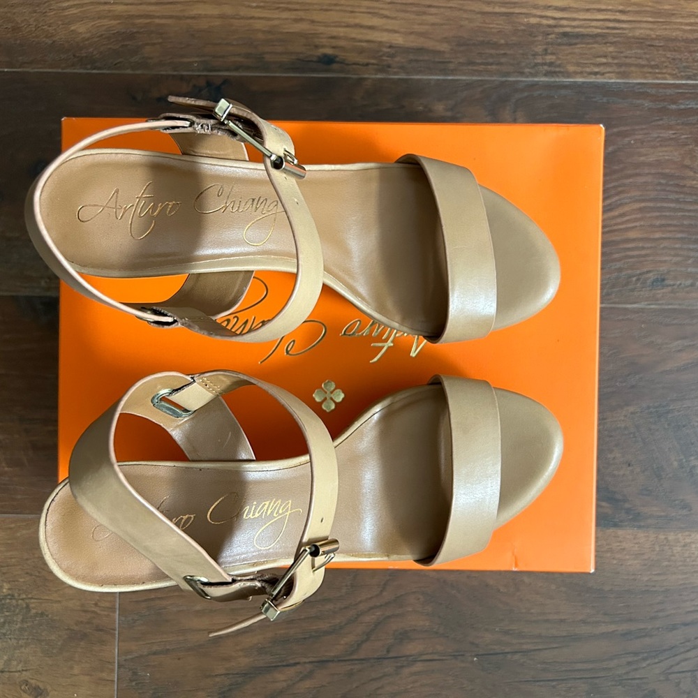 Arturo Chiang Wedge Sandals